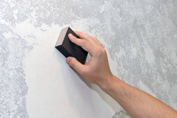 Best Mold Documentation for Insurance Claims  in Colma, CA
