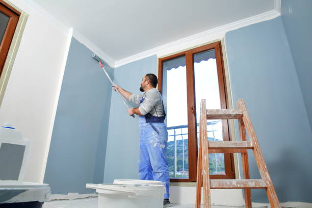 Mold Remediation for Vacation Homes in Colma, CA
