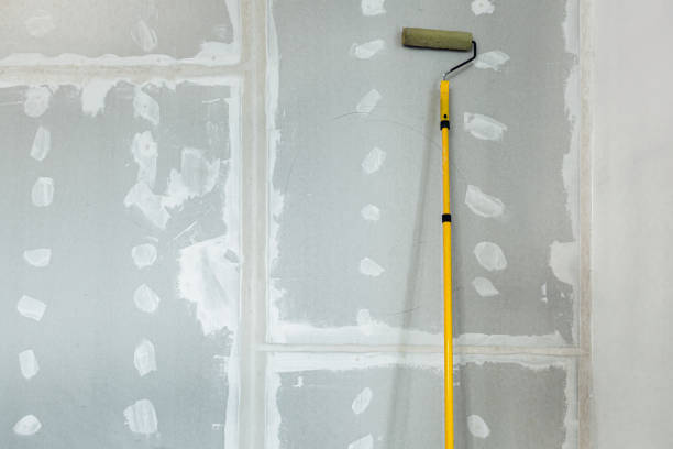 Best Basement Mold Removal  in Colma, CA