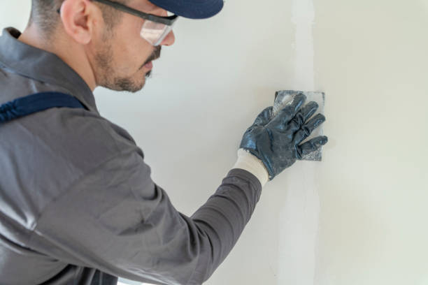 Best Mold Remediation for Vacation Homes  in Colma, CA