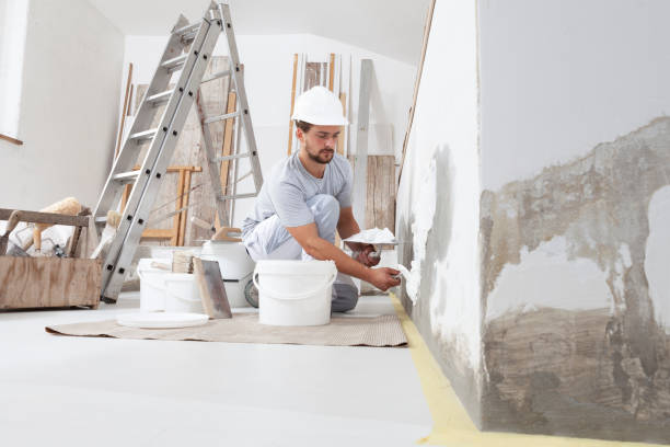 Best Mold Removal for HVAC Installations  in Colma, CA
