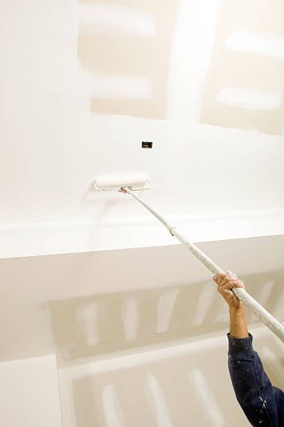 Best Emergency Mold Remediation  in Colma, CA