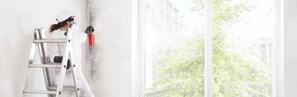 Dehumidification Services in Colma, CA