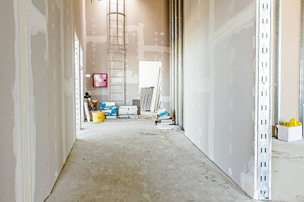 Asbestos and Lead Testing During Mold Inspection in Colma, CA