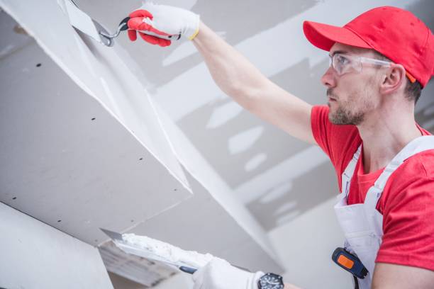 Best Black Mold Removal  in Colma, CA